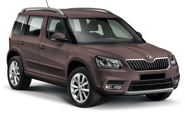 Skoda Yeti в цвете mocca